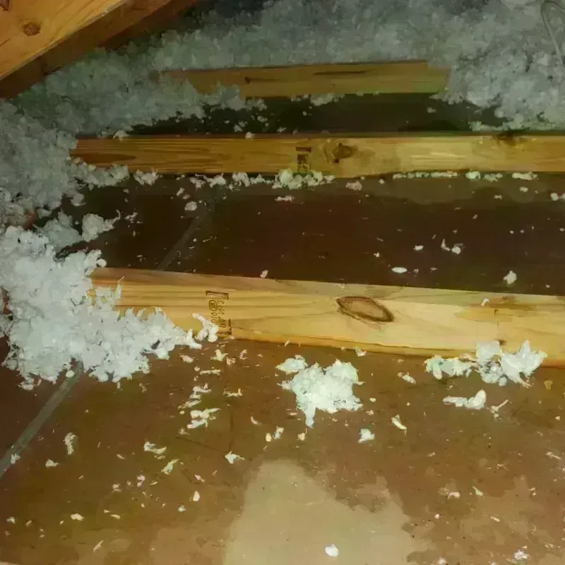 Attic Water Damage in Roxboro, NC